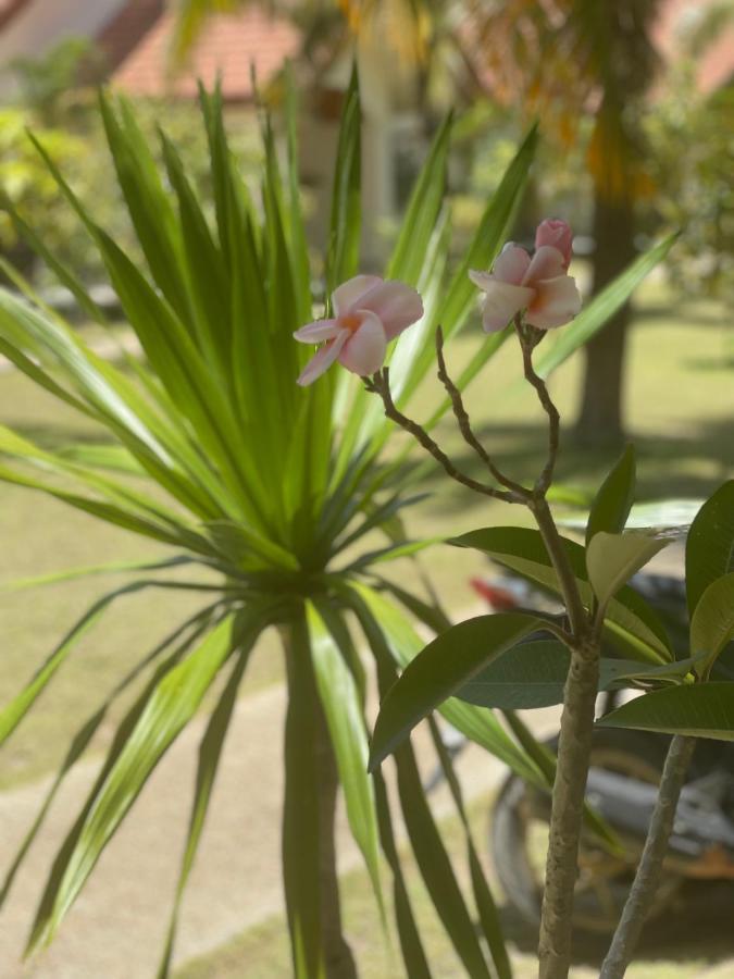 Paradis Villa A9, Koh Kho Khao Koh Kho Khao Island ภายนอก รูปภาพ